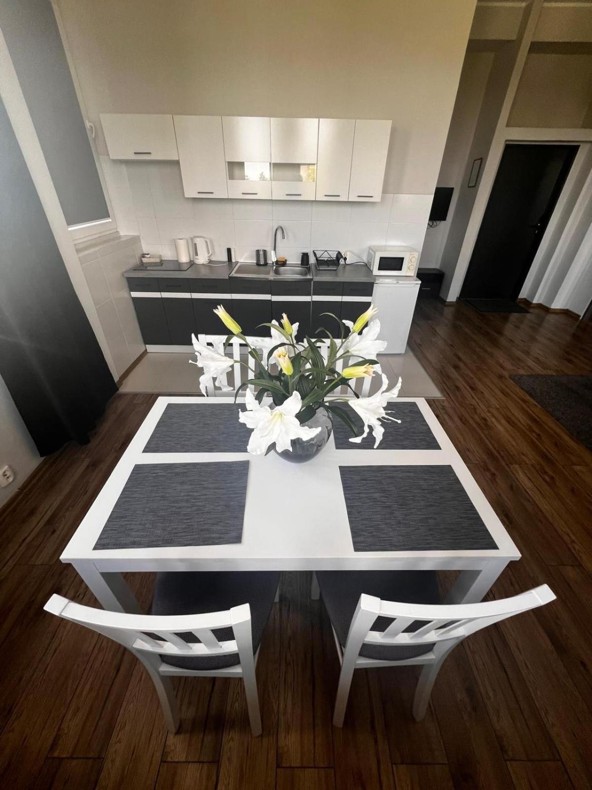 Business Center Apartment Skierniewice Luaran gambar
